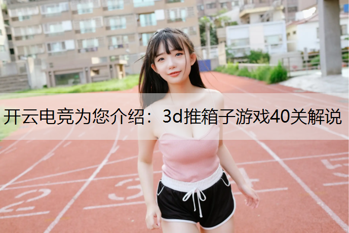 3d推箱子游戏40关解说